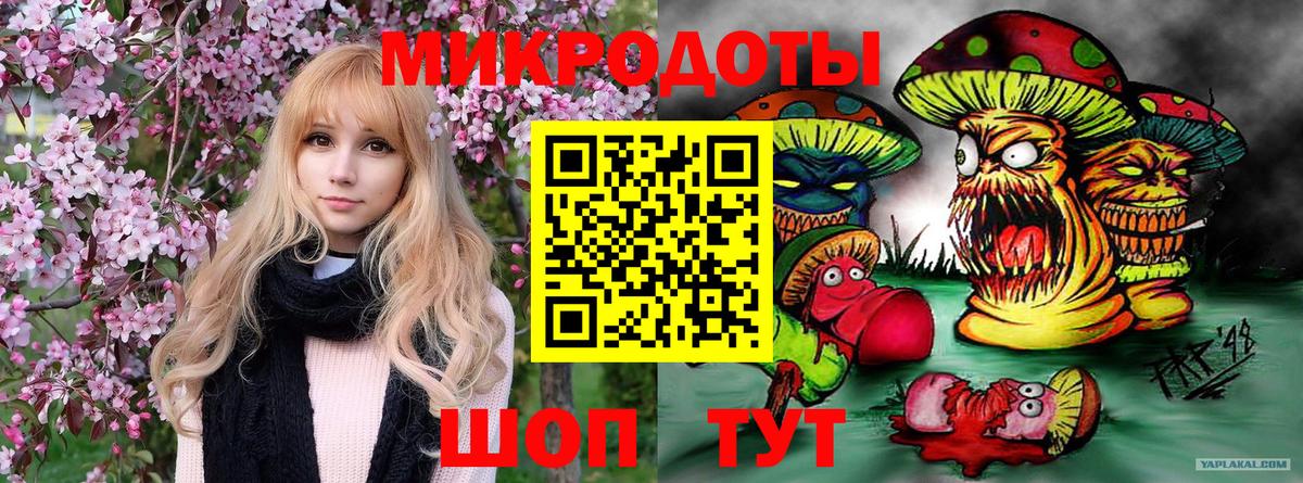 Псилоцибиновые грибы GOLDEN TEACHER Октябрьский